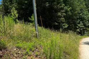 Tract C Lot 30 Wauka Ridge Rd, Clermont, GA 30527 - Photo 1