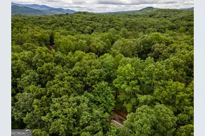 398 Mountain Tops Circle, Blue Ridge, GA 30513 - Photo 47