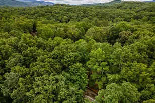 398 Mountain Tops Cir, Blue Ridge, GA 30513 - Photo 47