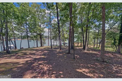 149 Foxtail Drive, Hartwell, GA 30643 - Photo 39