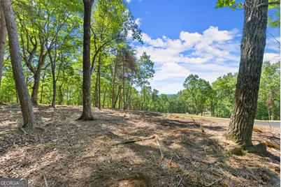 210 Chimney Oaks Trail, Cleveland, GA 30528 - Photo 3