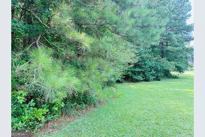 0 Mapledale Trail #LOT 51/52, Sharpsburg, GA 30277 - Photo 3