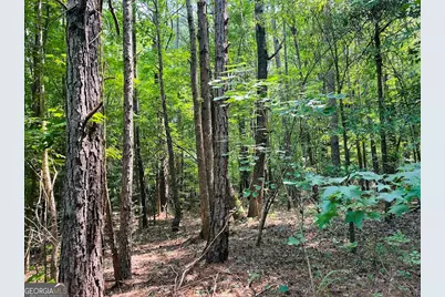 0 Mapledale Trail #LOT 51/52, Sharpsburg, GA 30277 - Photo 5