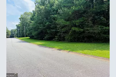 0 Mapledale Trail #LOT 51/52, Sharpsburg, GA 30277 - Photo 9