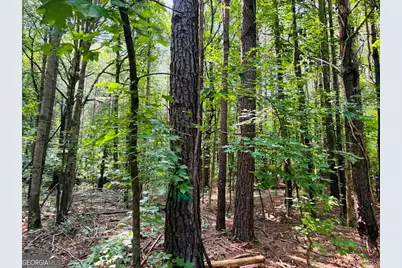0 Mapledale Trail #LOT 51/52, Sharpsburg, GA 30277 - Photo 7