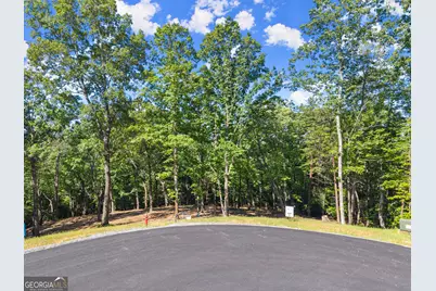 228 Chimney Oaks Trail, Cleveland, GA 30528 - Photo 1