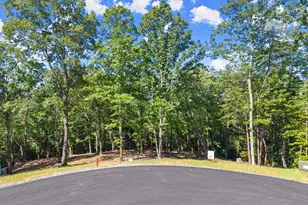 228 Chimney Oaks Trail, Cleveland, GA 30528 - Photo 1