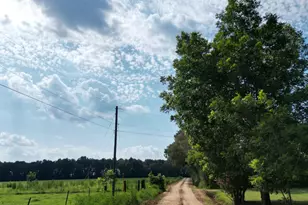 2246 Mount Olive Ch Rd, Eastman, GA 31023 - Photo 19