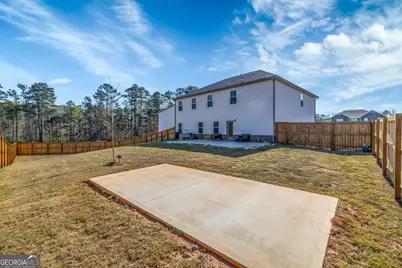 311 Bianca Way, McDonough, GA 30253 - Photo 3