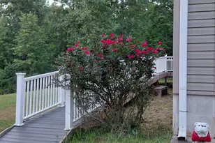 1330 Heads Ferry Rd, Cornelia, GA 30531 - Photo 9