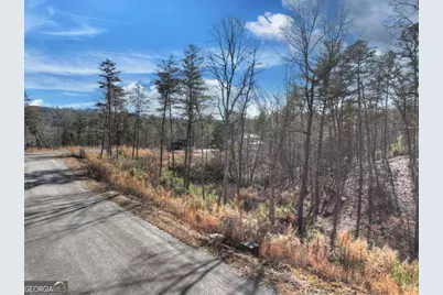 Lot 16 Mountain Laurel Ridge, Mineral Bluff, GA 30559 - Photo 9