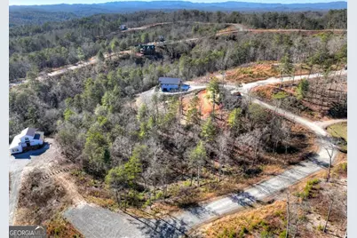 Lot 16 Mountain Laurel Ridge, Mineral Bluff, GA 30559 - Photo 7