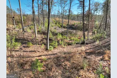 Lot 16 Mountain Laurel Ridge, Mineral Bluff, GA 30559 - Photo 3
