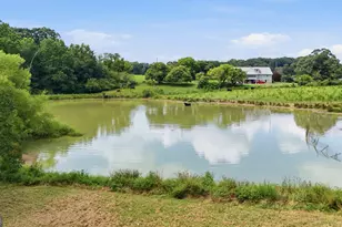 7482 Duncan Bridge Rd, Cleveland, GA 30528 - Photo 63