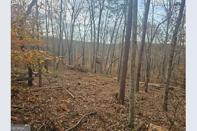 0 Watkins Road, Blue Ridge, GA 30513 - Photo 5