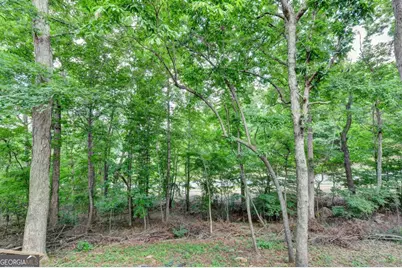 3545 Sentry View Trace, Suwanee, GA 30024 - Photo 63
