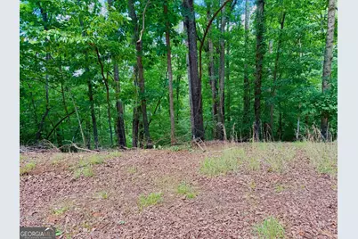 2246 Palisade Drive, Ellijay, GA 30540 - Photo 3