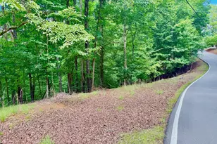 2246 Palisade Dr, Ellijay, GA 30540 - Photo 1