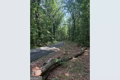 00 Laurel Branch Drive, Jasper, GA 30143 - Photo 5