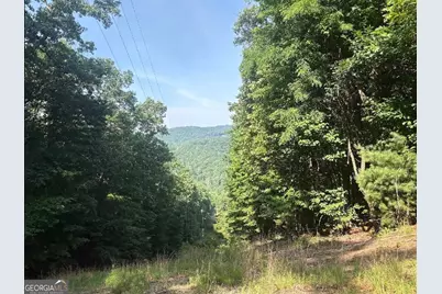 00 Laurel Branch Drive, Jasper, GA 30143 - Photo 1