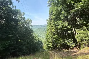 00 Laurel Branch Dr, Jasper, GA 30143 - Photo 1