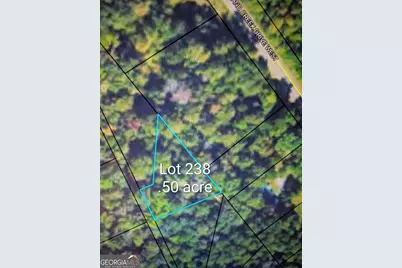 Lot 73 and 238 Island Creek Drive, Sparta, GA 31087 - Photo 5