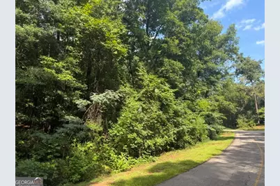 0 Alexander Way, Fort Valley, GA 31030 - Photo 3