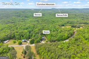 946 Riverdale Rd, Toccoa, GA 30577 - Photo 3