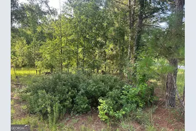 900 Habersham Church Road, Sardis, GA 30456 - Photo 3