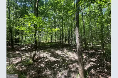 900 Habersham Church Road, Sardis, GA 30456 - Photo 5