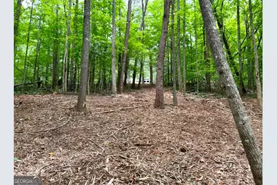 10042 Doublehead Gap Road, Blue Ridge, GA 30513 - Photo 5