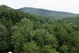 10042 Doublehead Gap Rd, Blue Ridge, GA 30513 - Photo 33