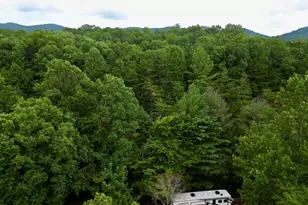 10042 Doublehead Gap Rd, Blue Ridge, GA 30513 - Photo 35