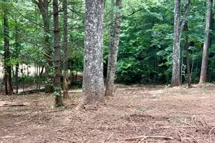 10042 Doublehead Gap Rd, Blue Ridge, GA 30513 - Photo 31