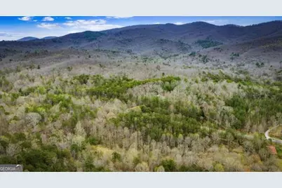 10042 Doublehead Gap Road, Blue Ridge, GA 30513 - Photo 11