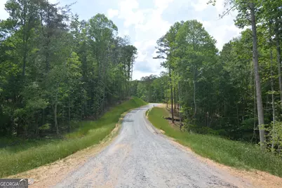 Lot 2 Murphy Hwy (Spur 60), Mineral Bluff, GA 30559 - Photo 13