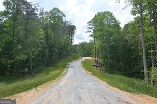 Lot 2 Murphy Hwy (Spur 60), Mineral Bluff, GA 30559 - Photo 13