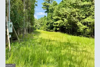 0 Springfield / Turner Road, Union Point, GA 30669 - Photo 19