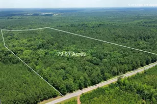 0 Springfield / Turner Rd, Union Point, GA 30669 - Photo 1