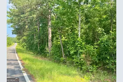 0 Springfield / Turner Road, Union Point, GA 30669 - Photo 23