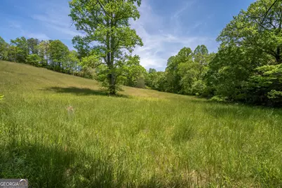 Lot 1-1A Jonica Gap Road, Mineral Bluff, GA 30559 - Photo 3