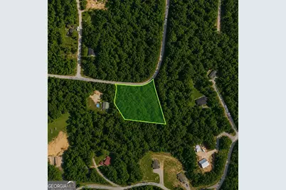 0 Pine Woods Drive, Blairsville, GA 30512 - Photo 3
