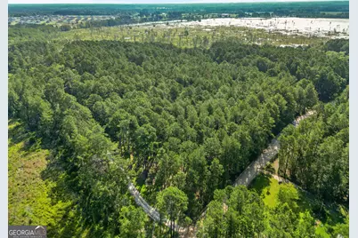 Lot 1 Kennedy Pond Road, Statesboro, GA 30458 - Photo 7