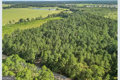 Lot 1 Kennedy Pond Road, Statesboro, GA 30458 - Photo 5