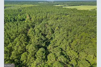 Lot 1 Kennedy Pond Road, Statesboro, GA 30458 - Photo 13