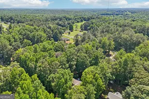 34 Dogwood Ln, Newnan, GA 30263 - Photo 41