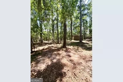 Lot 2 Kennedy Pond Road, Statesboro, GA 30458 - Photo 19