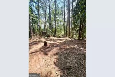 Lot 2 Kennedy Pond Road, Statesboro, GA 30458 - Photo 23