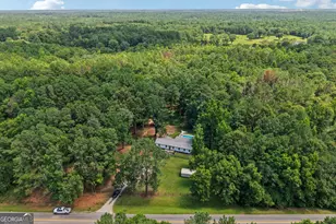 1199 Bo Bo Banks Rd, Grantville, GA 30220 - Photo 43