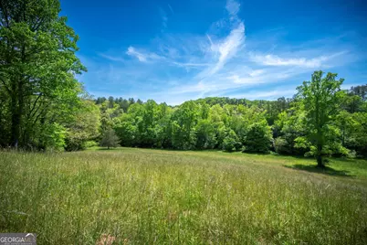Lot 2-2A Jonica Gap Road, Mineral Bluff, GA 30559 - Photo 1